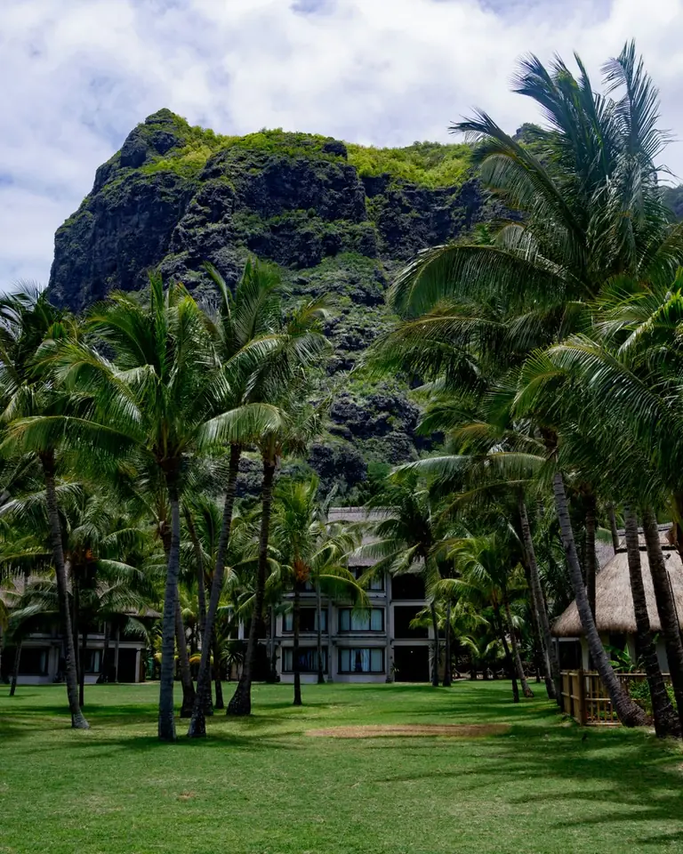 Palm trees below Le Morne mountain in Mauritius